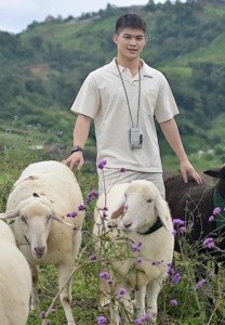 Rambolek-เที่ยว